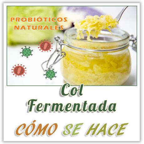COL FERMENTADA PROBIÓTICA