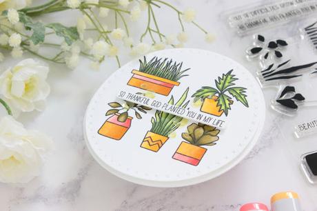 Lucky Charm Release Lucky Charm Release