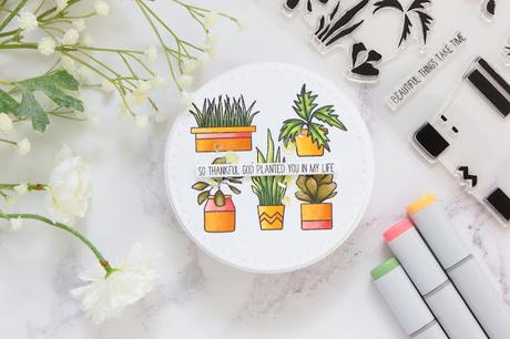 Lucky Charm Release Lucky Charm Release