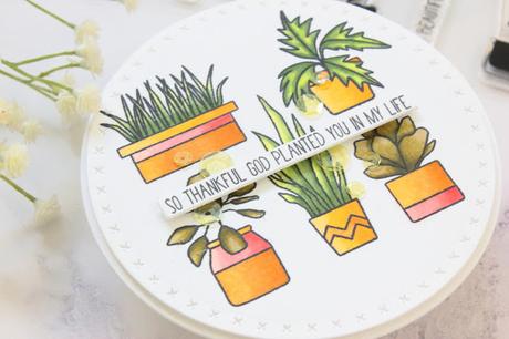 Lucky Charm Release Lucky Charm Release