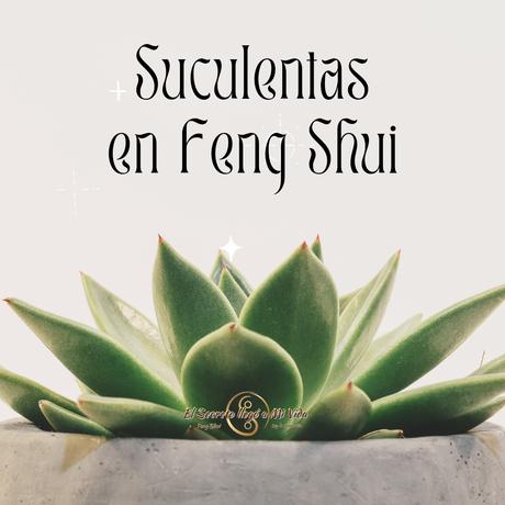 Suculentas en Feng Shui