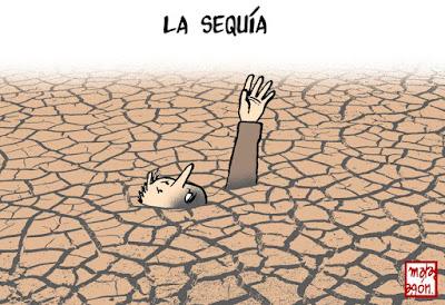 Guerra a muerte en el PP y ascenso de Vox.