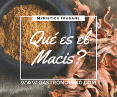 ¿Qué es el Macis?