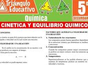 Cinética Equilibrio Químico para Quinto Secundaria