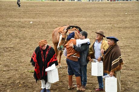 Éxito rotundo fué la Fiesta del Chacarero y el Hombre de Campo en Picún Leufú