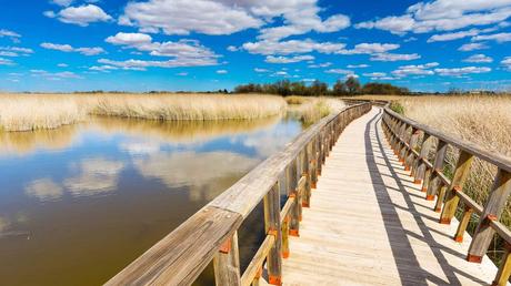 Conoces Ciudad Real? Te contamos todo sobre este hermoso lugar y sus actividades