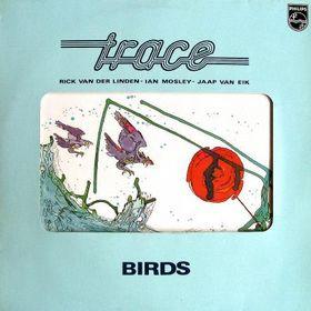 Trace. Birds. Edición #Rockarte