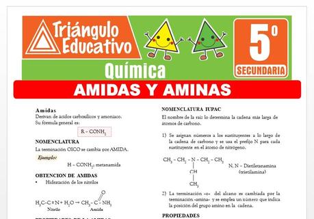 Amidas y Aminas para Quinto de Secundaria Amidas y Aminas para Quinto de Secundaria