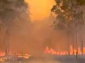 Tras fuerte sequía, incendios avanzan provincia Corrientes.