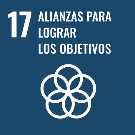 Responsabilidad social empresarial y objetivos de desarrollo sostenible Objetivo de Desarrollo Sostenible 17