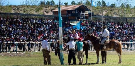 Se presentó la XXVI edición de la Fiesta del Choclo y las Humitas de El Sauce