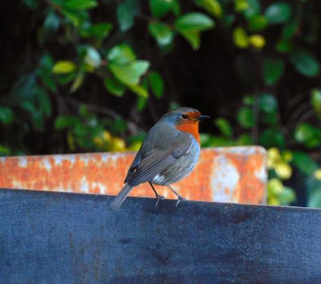 The Equalizer. The Equalizer.