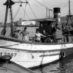 Barrio Pesquero:llegada de la pesca