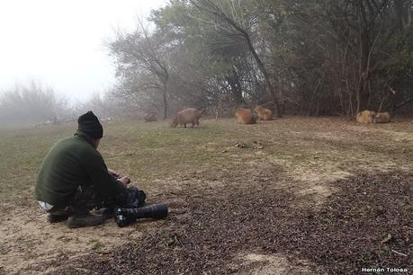 Parque Nacional El Palmar (agosto 2021)