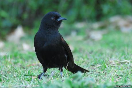 Parque Nacional El Palmar (agosto 2021)