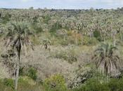 Parque Nacional Palmar (agosto 2021)