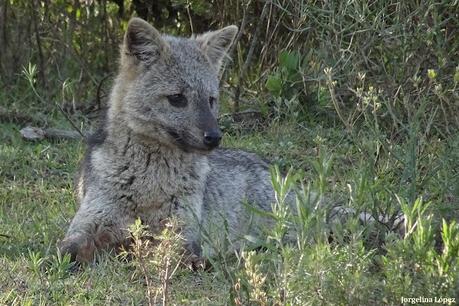 Parque Nacional El Palmar (agosto 2021)