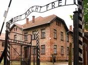 Holocausto Auschwitz: predecesor derechos humanos