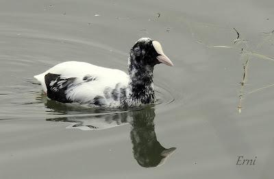 UN PLAN PARA EL FIN DE SEMANA