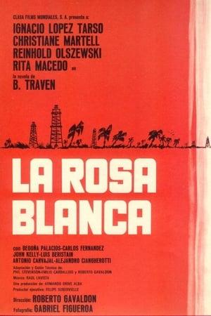 LA ROSA BLANCA - Roberto Gavaldón LA ROSA BLANCA - Roberto Gavaldón