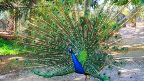 Parques y lugares con algún secreto para visitar con niños