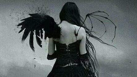 Hechizo para mariposas