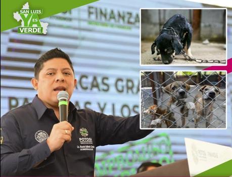 Gobernador celebra mayor sanción para quienes maltraten animales