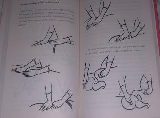 Reseña|| Mi primer libro de Reiki- Philip Jones