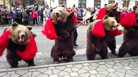 La danza del oso￼