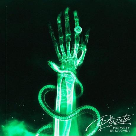 The party en la casa