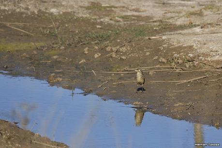Recorriendo caminos de Udaondo a Ranchos