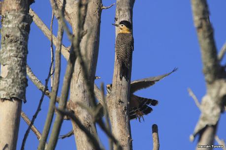 Recorriendo caminos de Udaondo a Ranchos