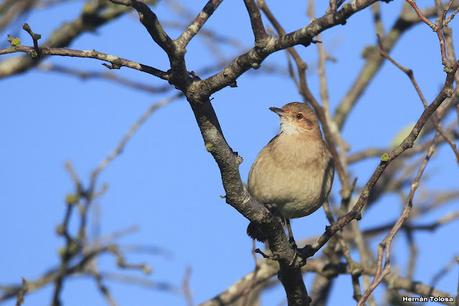 Recorriendo caminos de Udaondo a Ranchos