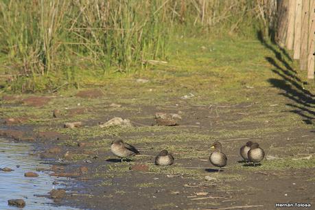 Recorriendo caminos de Udaondo a Ranchos