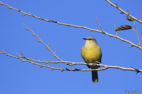 Recorriendo caminos de Udaondo a Ranchos