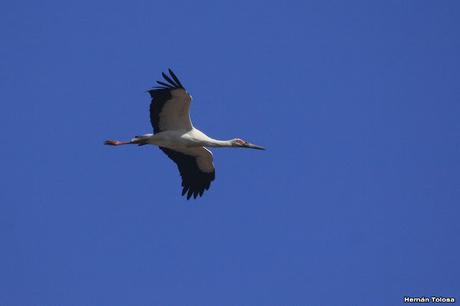 Recorriendo caminos de Udaondo a Ranchos