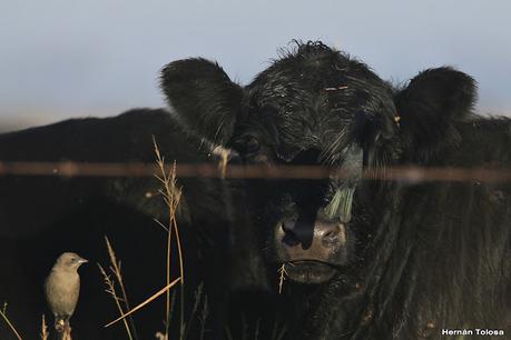 Recorriendo caminos de Udaondo a Ranchos