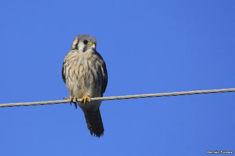 Recorriendo caminos de Udaondo a Ranchos
