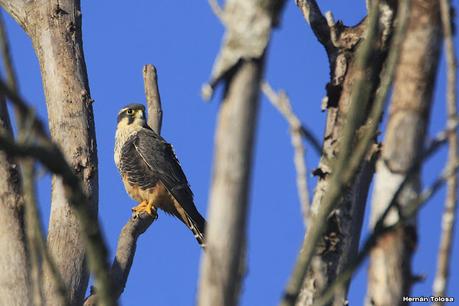 Recorriendo caminos de Udaondo a Ranchos