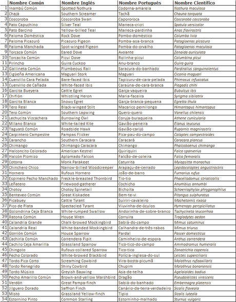 Recorriendo caminos de Udaondo a Ranchos