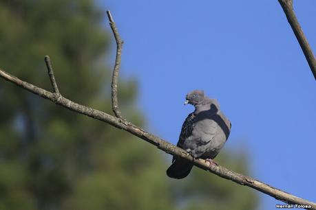 Recorriendo caminos de Udaondo a Ranchos