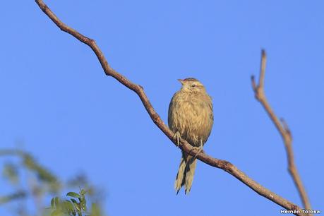 Recorriendo caminos de Udaondo a Ranchos