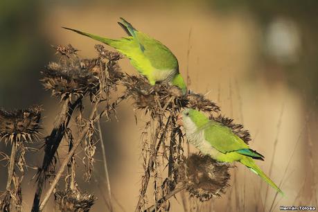 Recorriendo caminos de Udaondo a Ranchos
