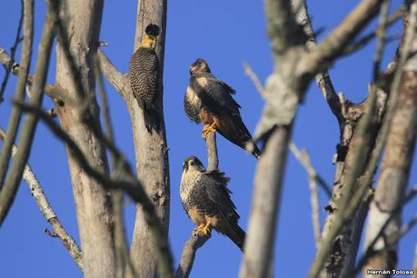 Recorriendo caminos de Udaondo a Ranchos