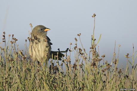 Recorriendo caminos de Udaondo a Ranchos