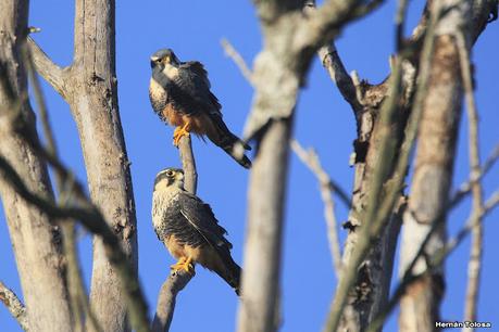 Recorriendo caminos de Udaondo a Ranchos
