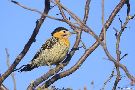 Recorriendo caminos de Udaondo a Ranchos