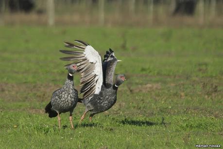 Recorriendo caminos de Udaondo a Ranchos