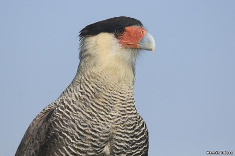 Recorriendo caminos de Udaondo a Ranchos