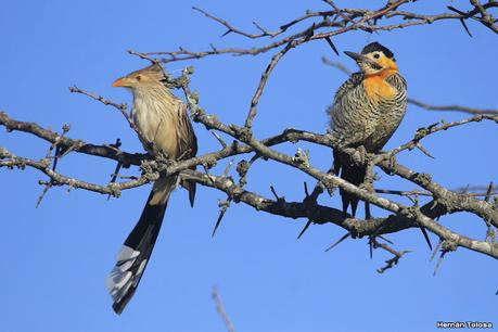 Recorriendo caminos de Udaondo a Ranchos